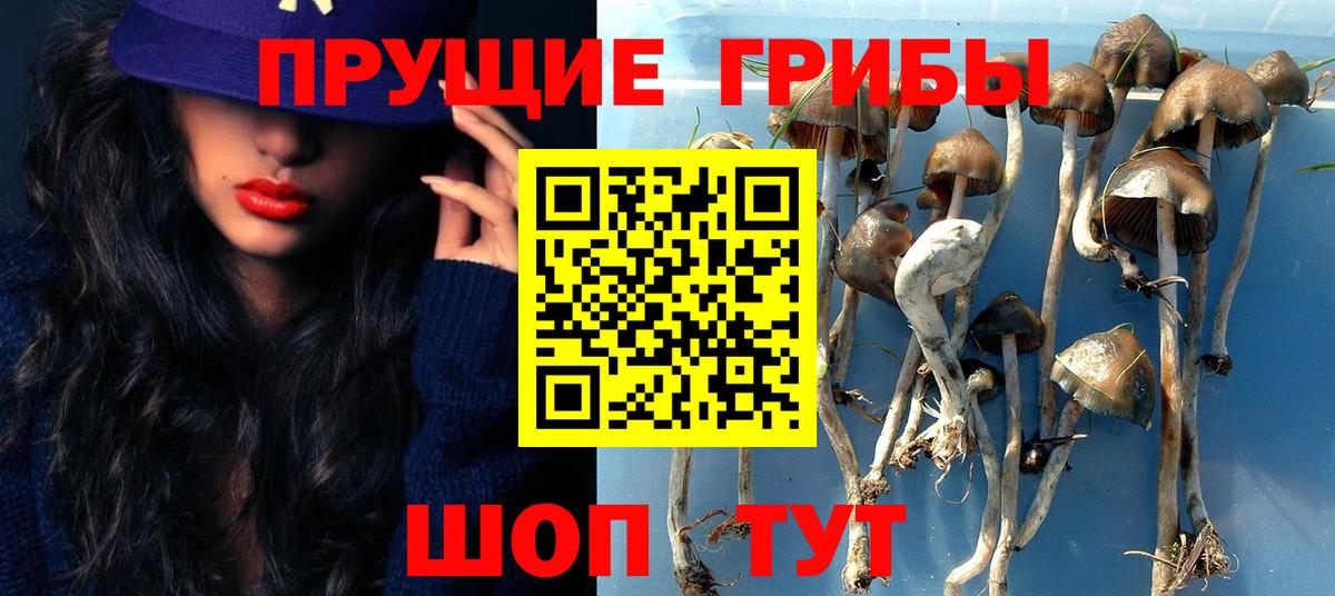 Красноуфимск  Галлюциногенные грибы MAGIC MUSHROOMS  Псилоцибиновые грибы мухоморы  Вход с VPN 